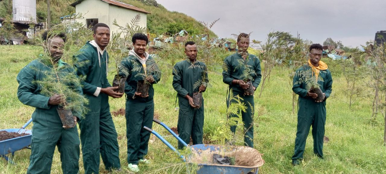 Green Legacy Initiative