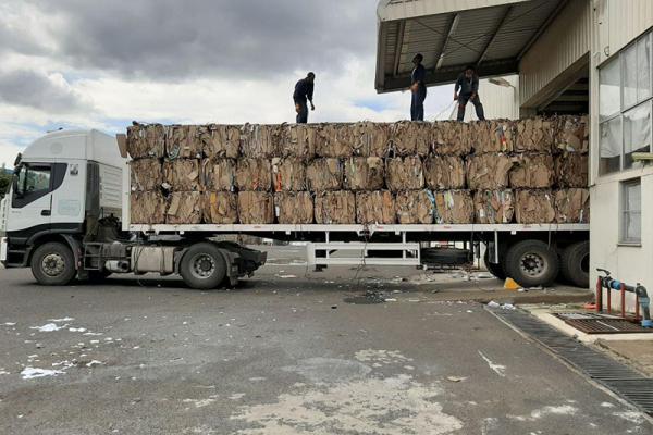 Carton